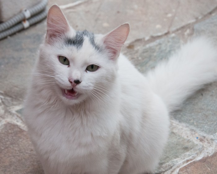 SantorinNovembre2018-4608